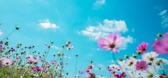 Investment Account Spring Cleaning | SoCal Wealth Management
